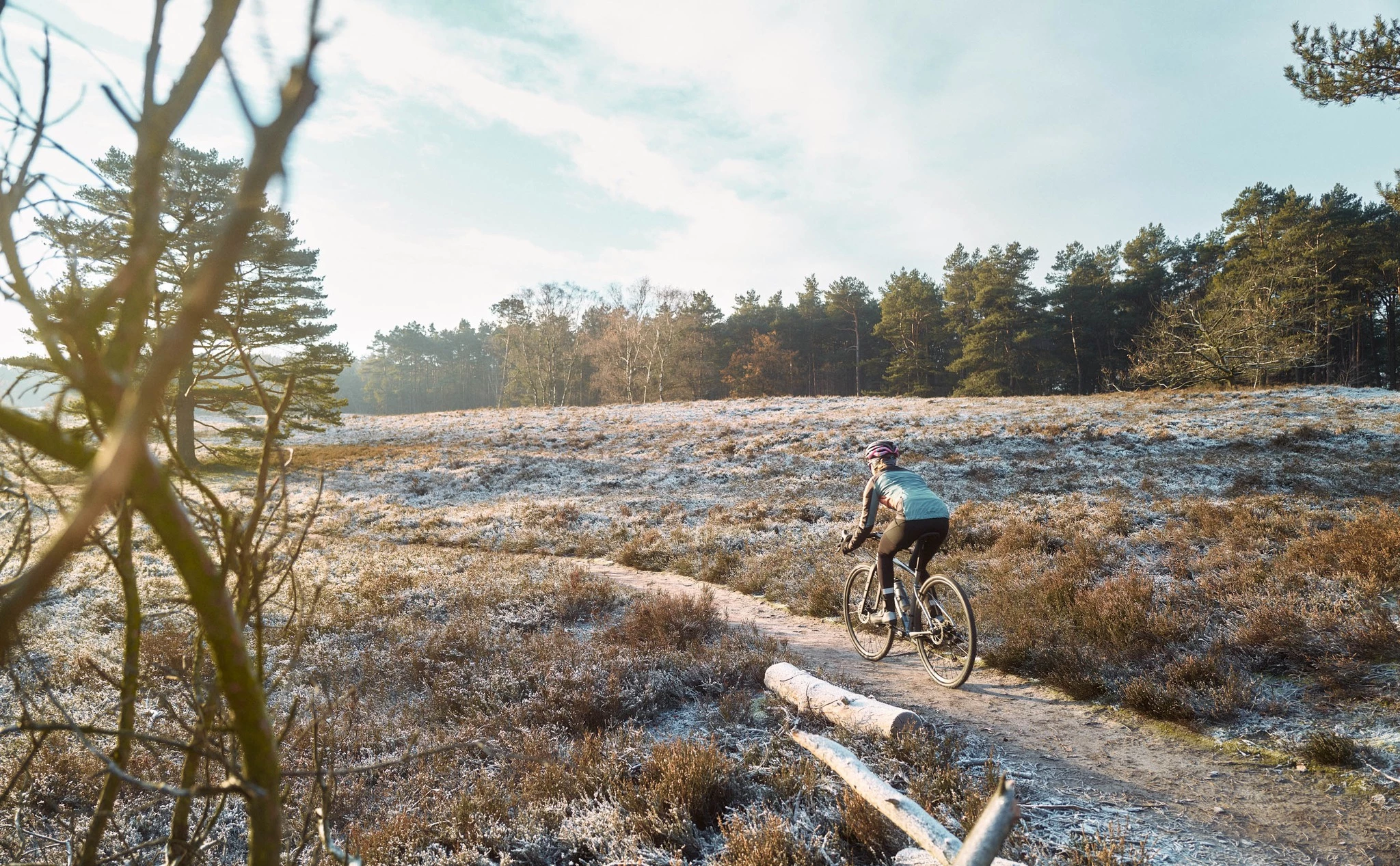 Ersatzteile Verkaufsladen -Ersatzteile Verkaufsladen 321955993 851562389430367 8421244579456016195 n
